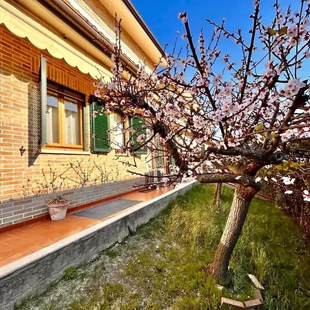 Trilo Michele, In Centro A * Sirolo